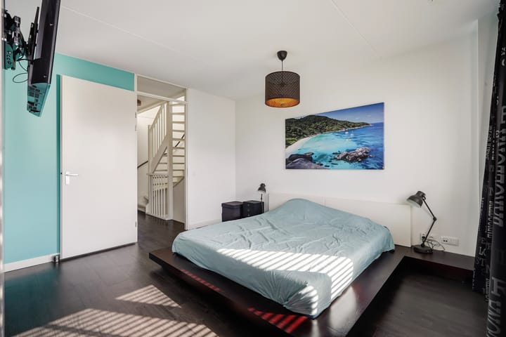 Foto 52 van Menagerie 20