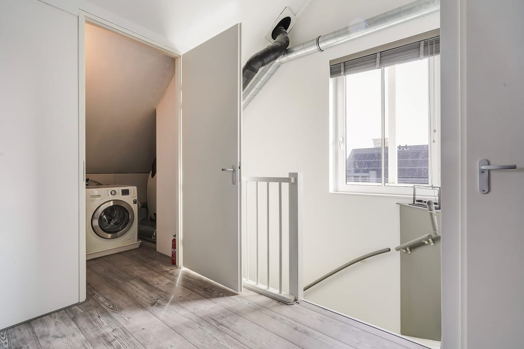 Foto 53 van Menagerie 20