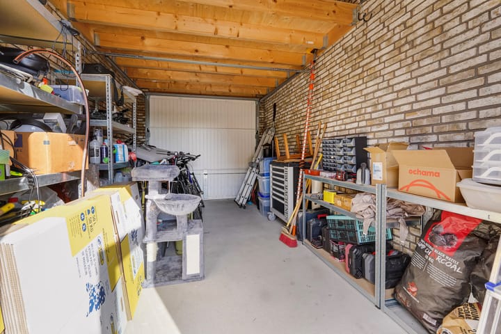 Foto 60 van Menagerie 20