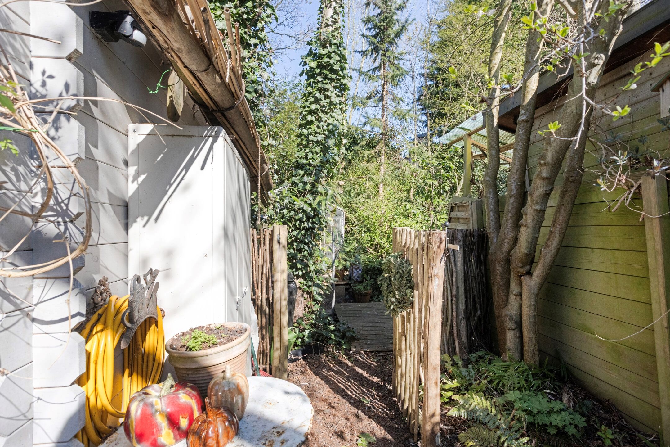 Foto 30 van Duvenvoordestraat 68