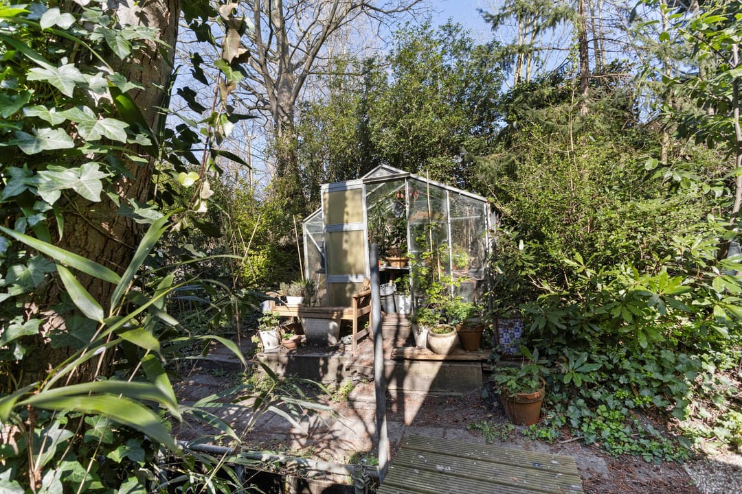 Foto 31 van Duvenvoordestraat 68