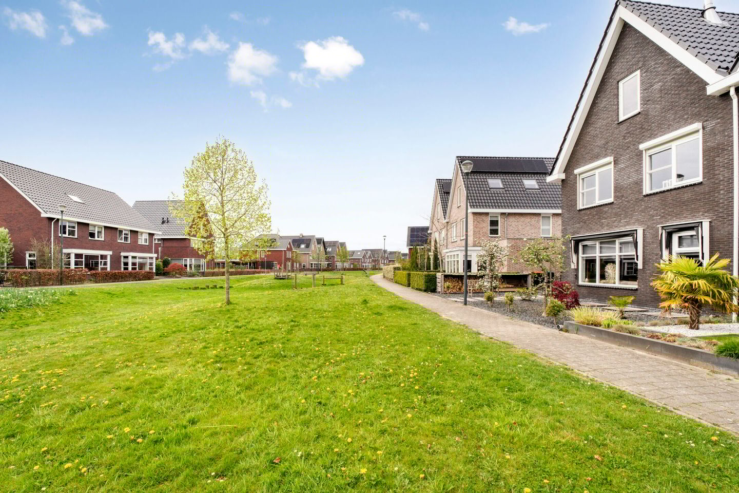 Foto 40 van Zomerbed 24