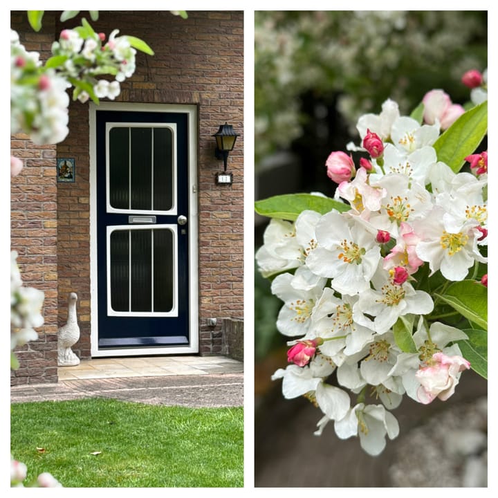 Foto 10 van Achterstraat 12