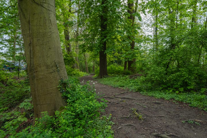 Foto 53 van Achterstraat 12