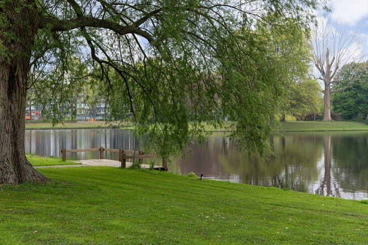 Foto 51 van Baroniesingel 23