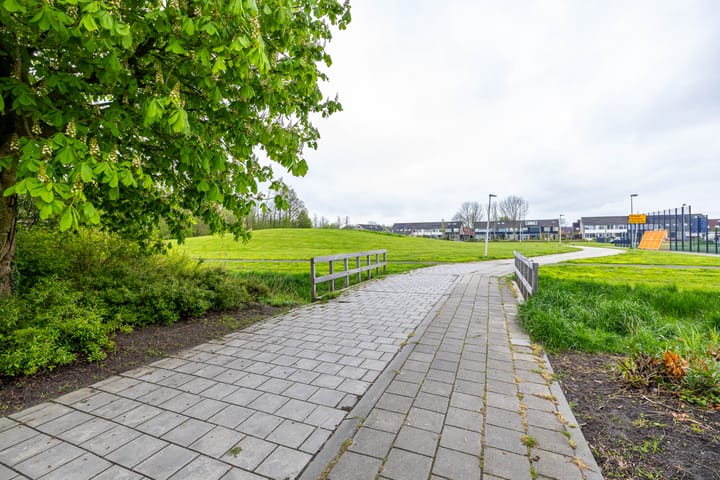 Photo 51 of De Kastanje 41