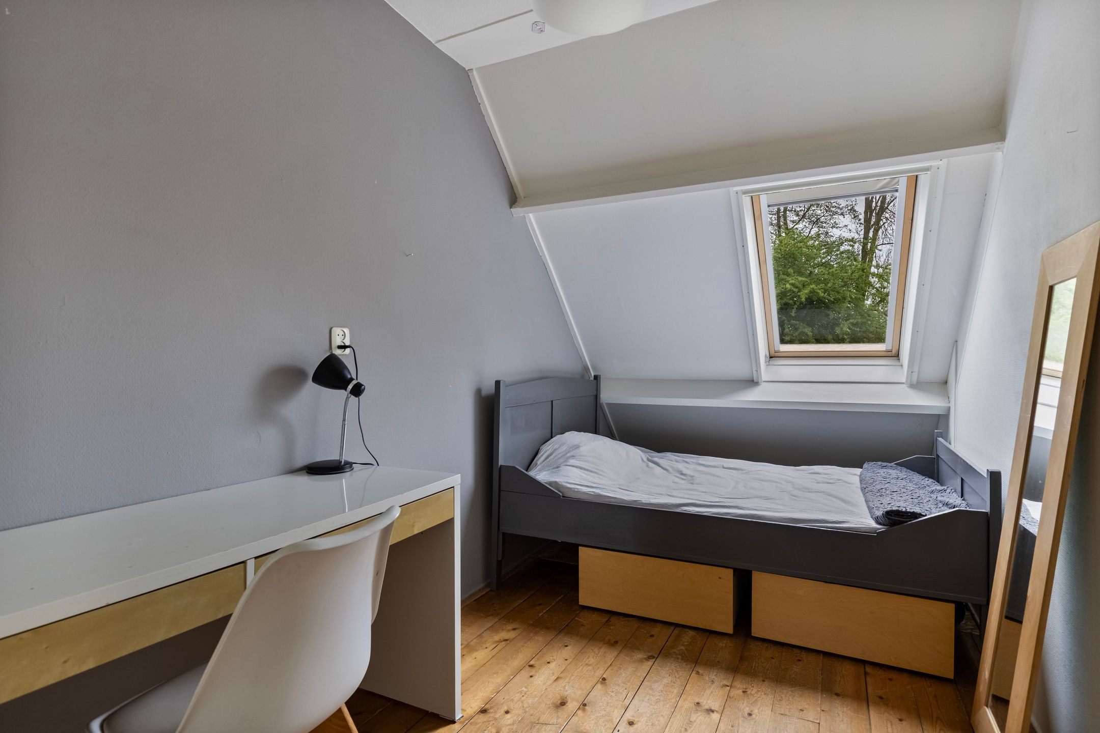 Foto 12 van Jaltadaheerd 100