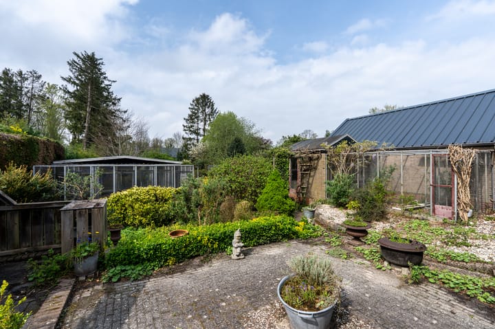 Foto 34 van Zuiderdiep 441