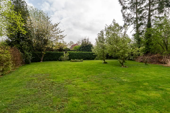 Foto 38 van Zuiderdiep 441