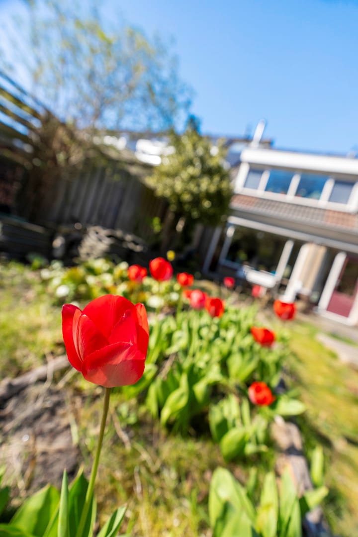 Photo 50 of Asserdreef 64