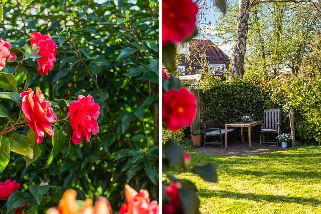 Foto 26 van Verlengde Schrans 116