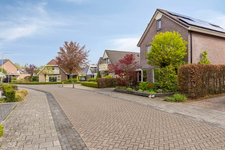 Foto 3 van Kievitsbloem 11