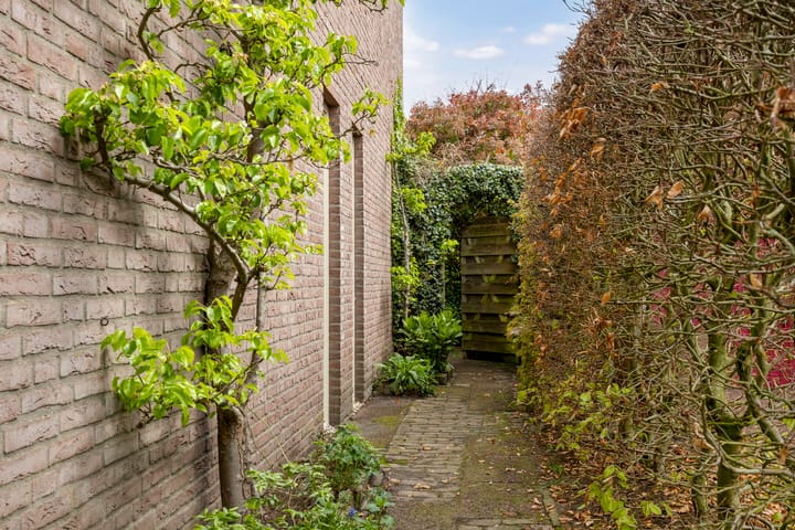 Foto 36 van Kievitsbloem 11