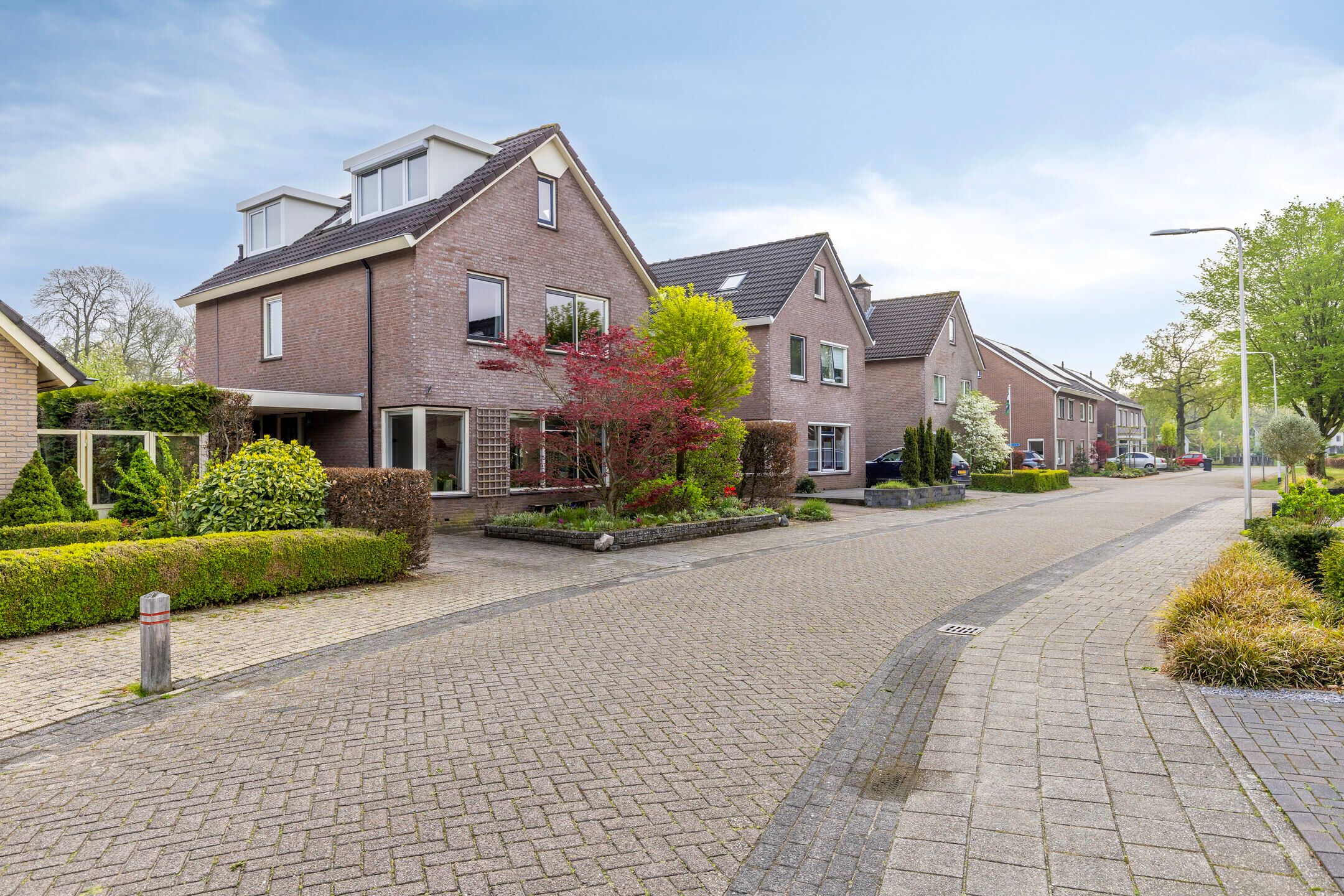 Foto 45 van Kievitsbloem 11