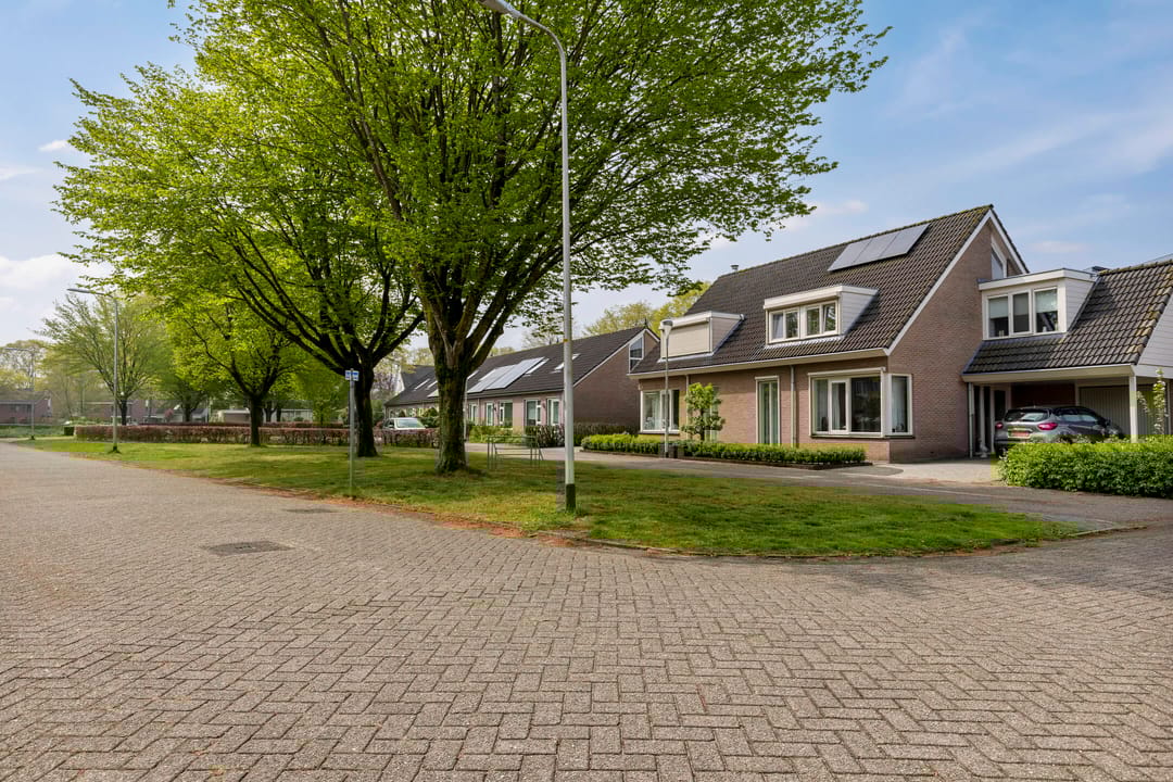 Foto 46 van Kievitsbloem 11