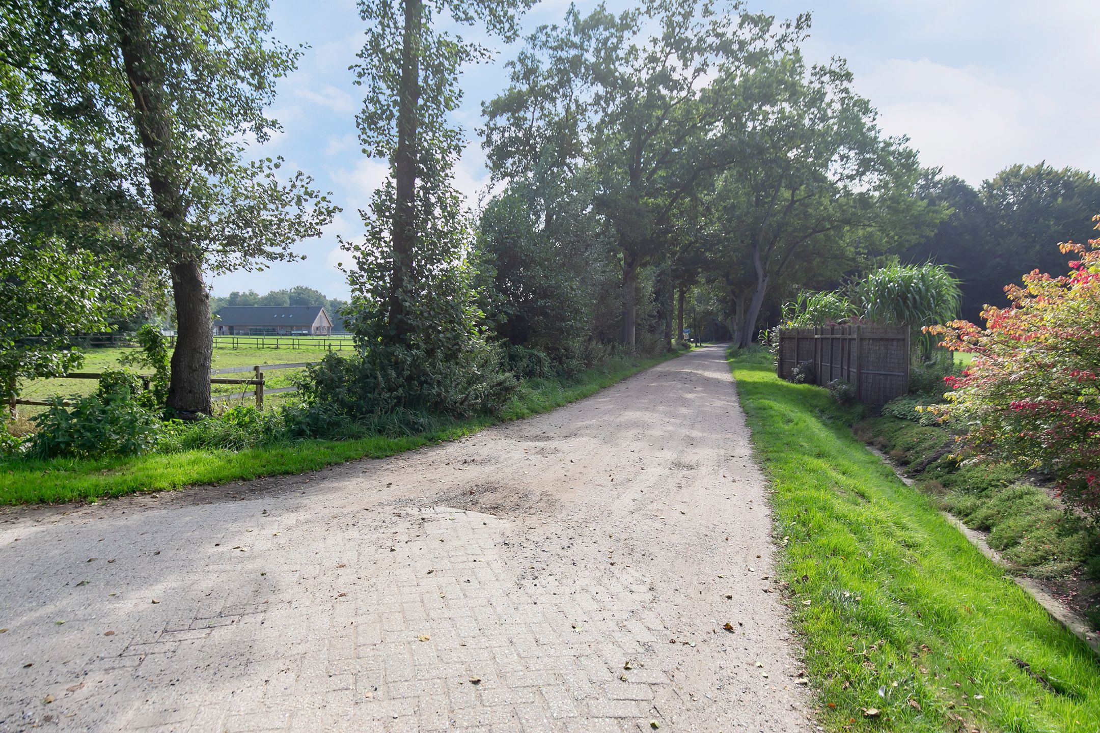 Foto 48 van Kievitsbloem 11