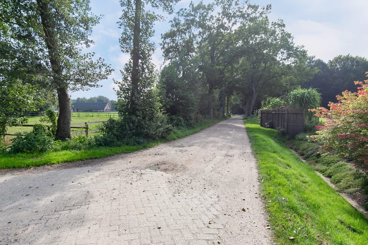 Foto 48 van Kievitsbloem 11