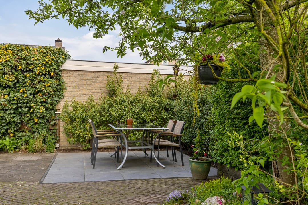 Foto 41 van Kievitsbloem 11