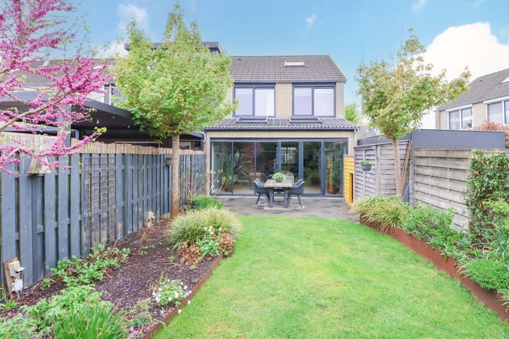 Foto 1 van Meerkoet 25