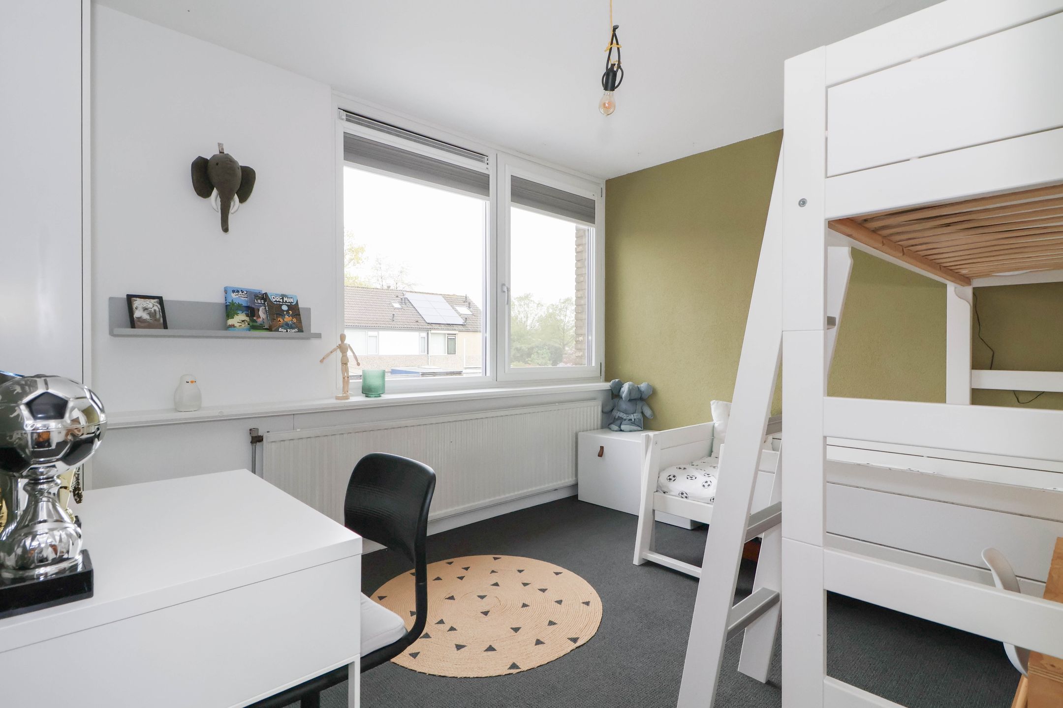 Photo 15 of Meerkoet 25