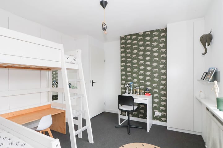 Foto 16 van Meerkoet 25