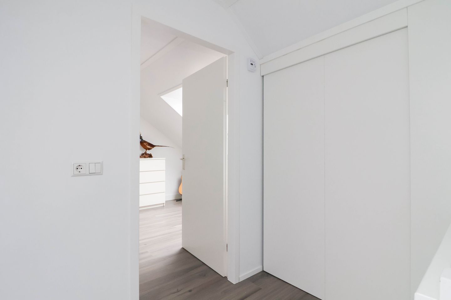 Photo 25 of Meerkoet 25