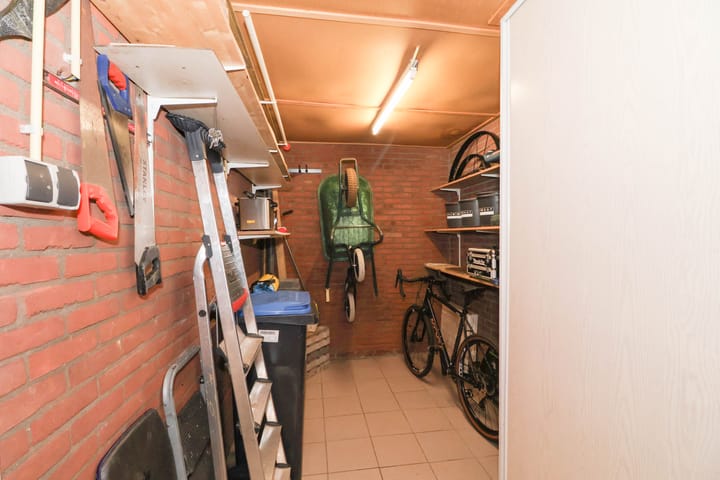 Foto 29 van Meerkoet 25