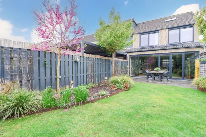 Foto 31 van Meerkoet 25