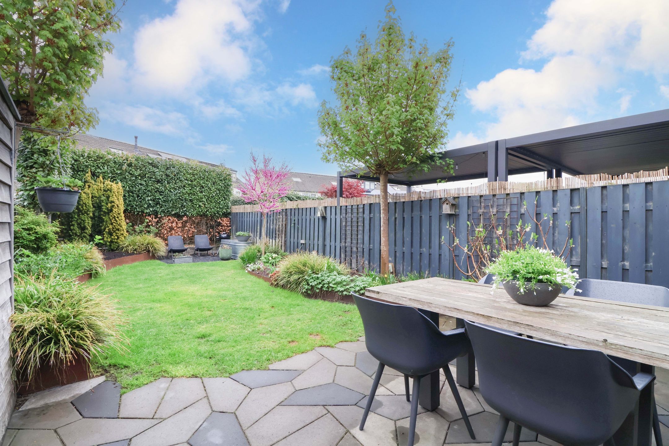 Photo 33 of Meerkoet 25