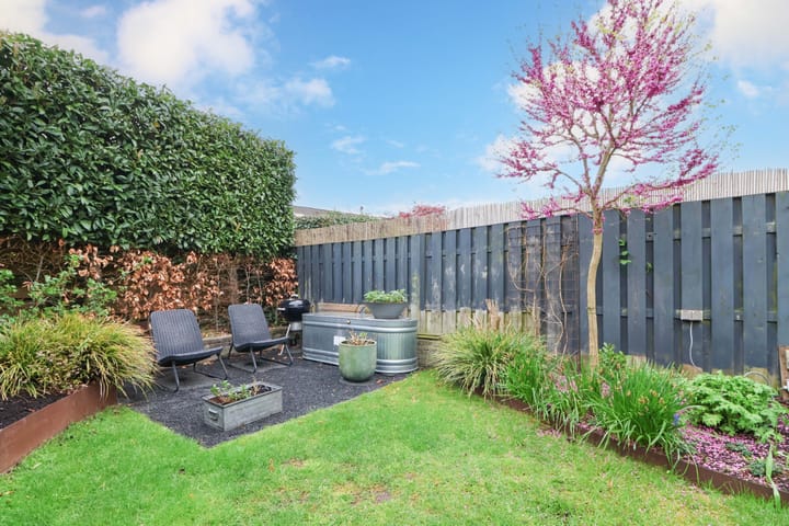 Foto 34 van Meerkoet 25