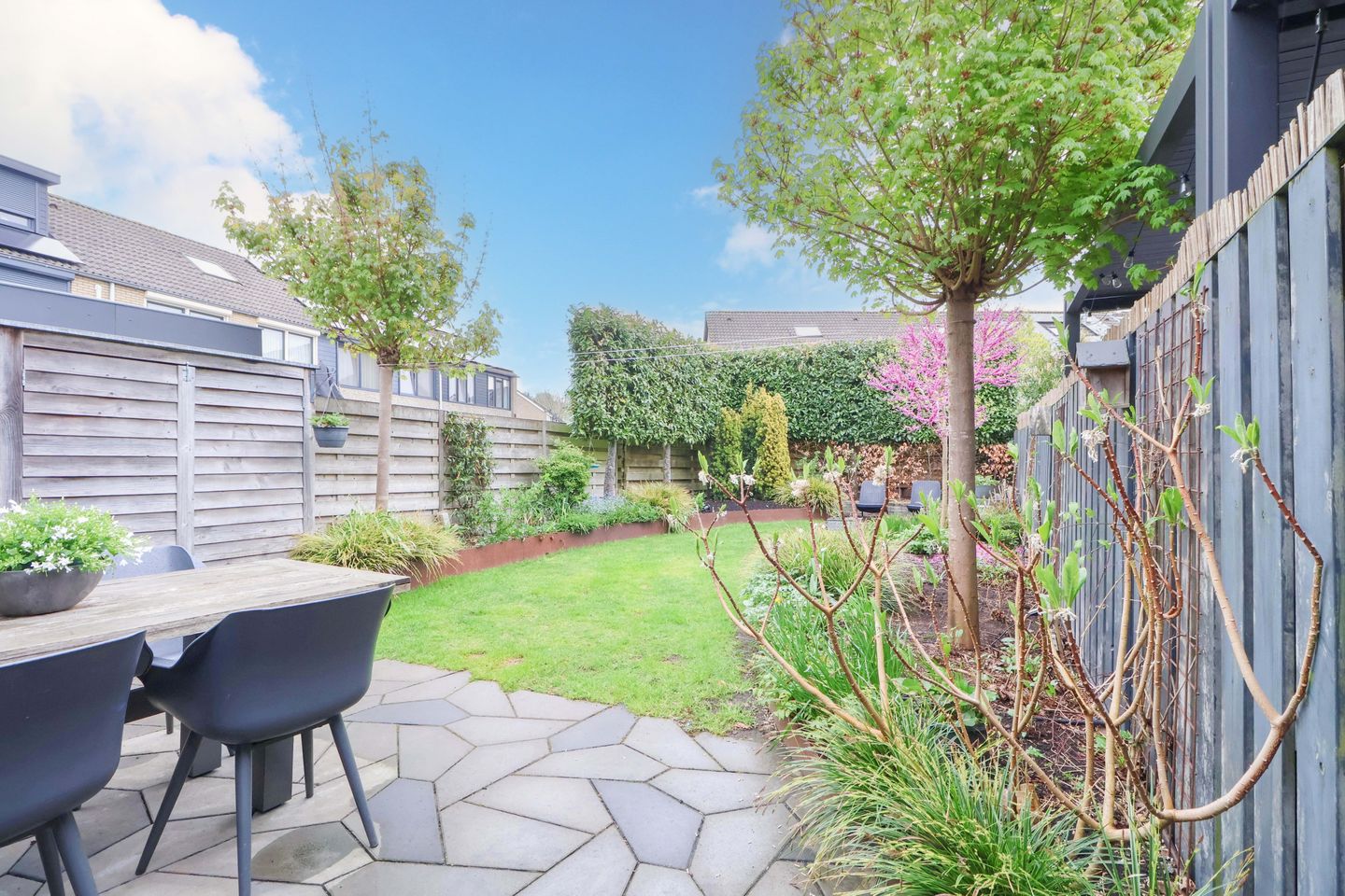 Photo 35 of Meerkoet 25