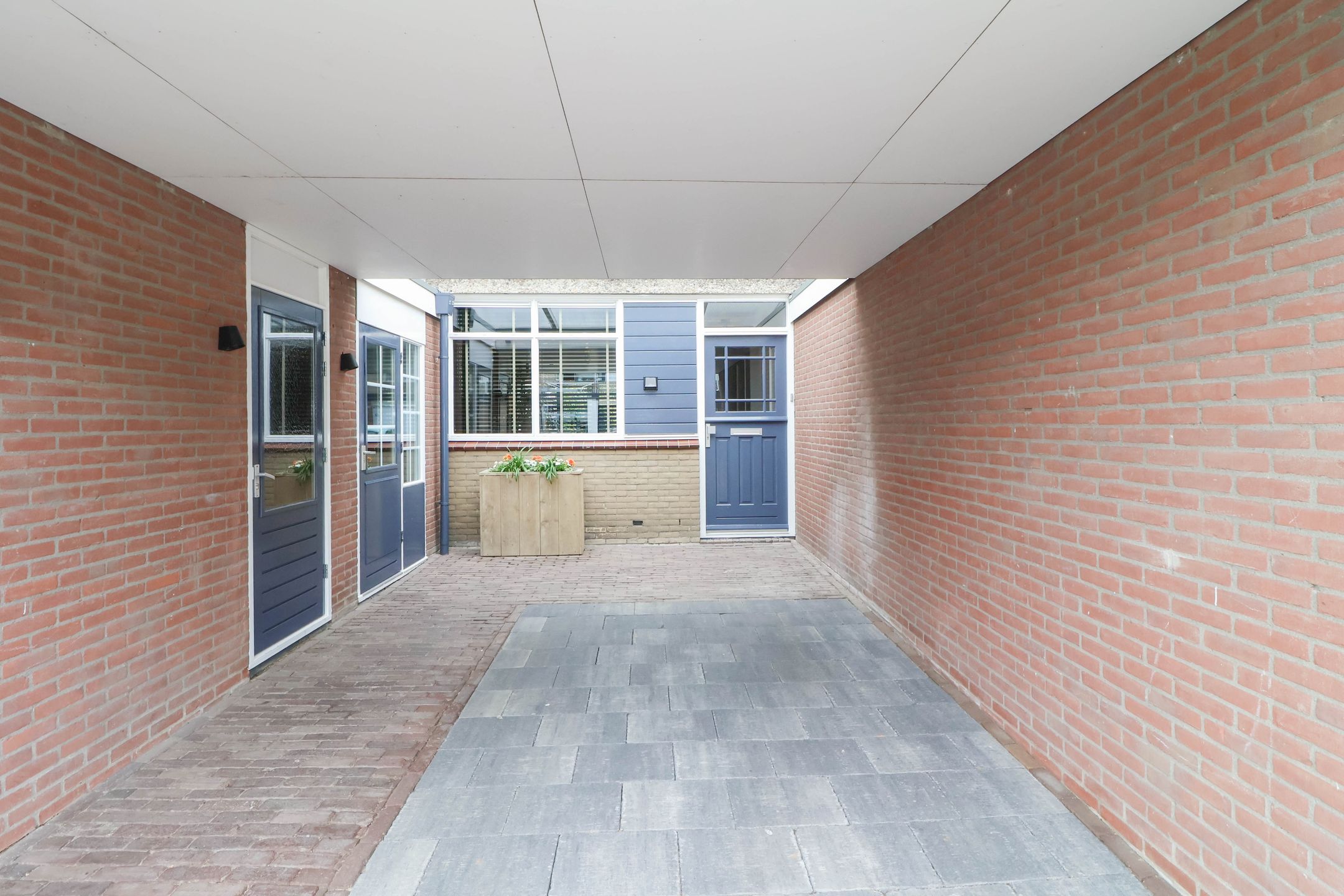 Photo 36 of Meerkoet 25