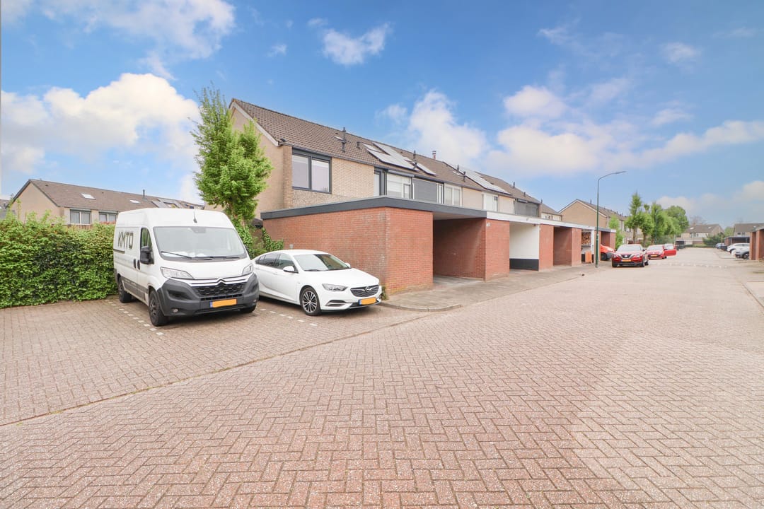 Photo 37 of Meerkoet 25