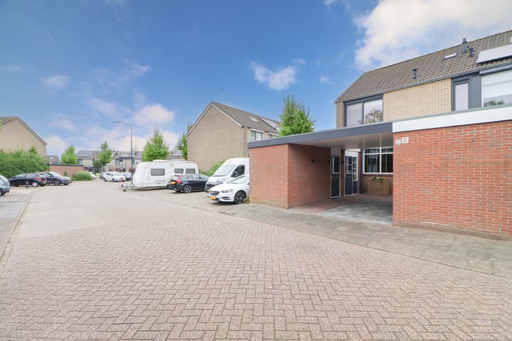 Foto 38 van Meerkoet 25