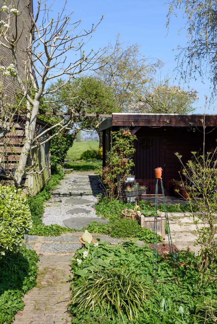 Foto 32 van van Assendelftstraat 10