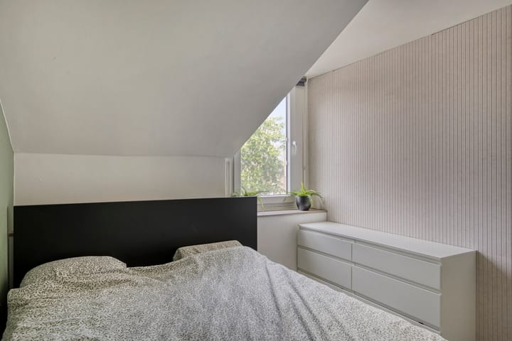 Photo 19 of Zoom 17 9