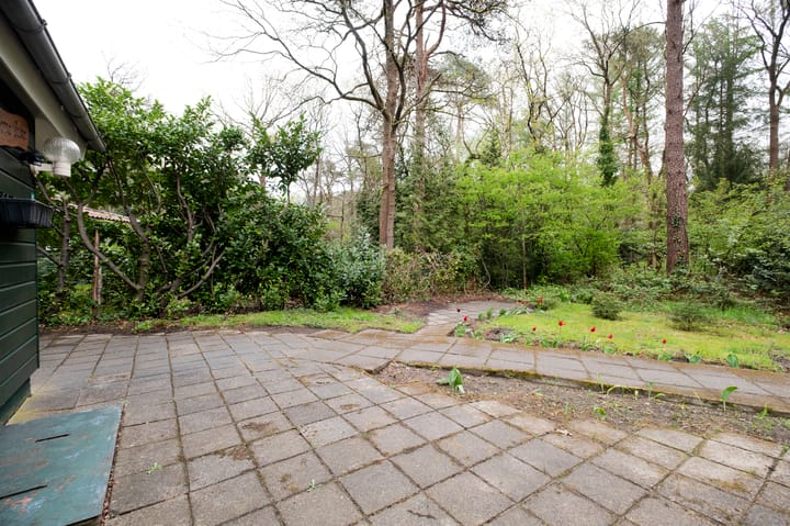 Foto 32 van Triolaan 2