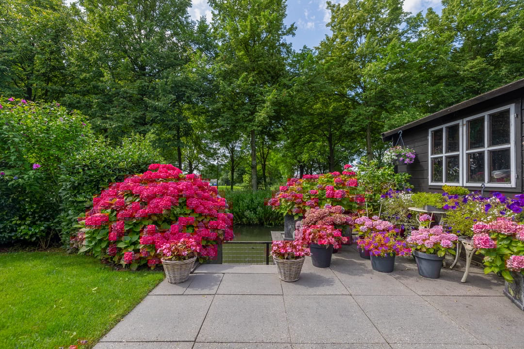 Foto 67 van Waterland 89