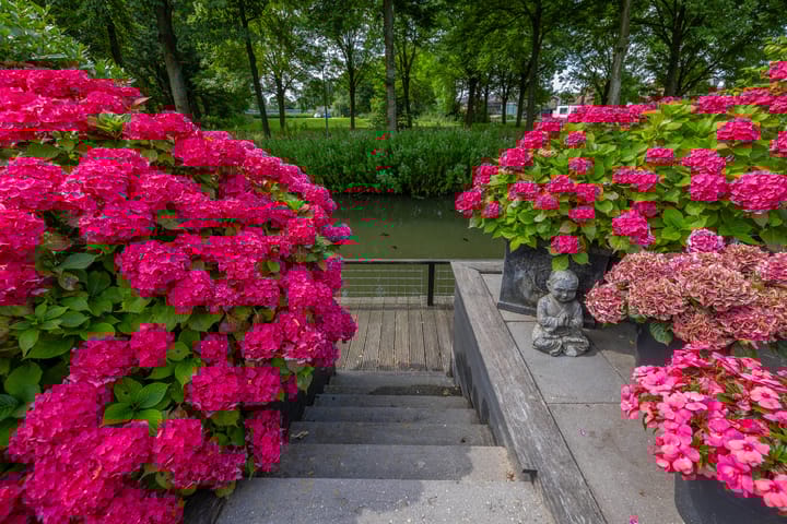 Foto 68 van Waterland 89