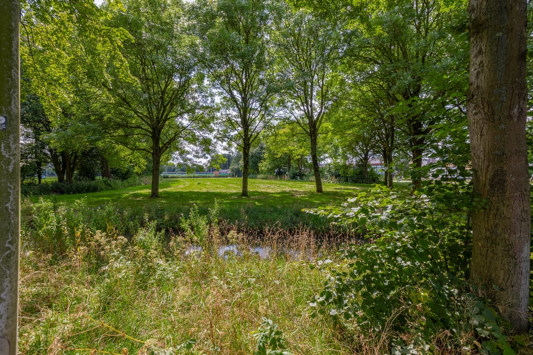 Foto 77 van Waterland 89