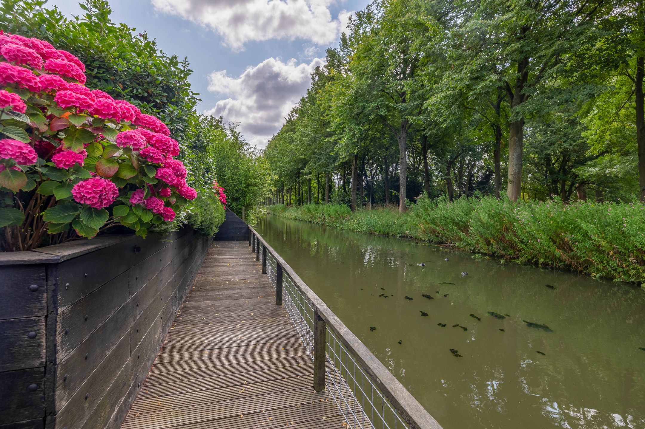 Foto 69 van Waterland 89