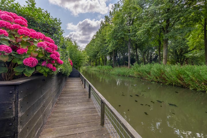 Foto 69 van Waterland 89