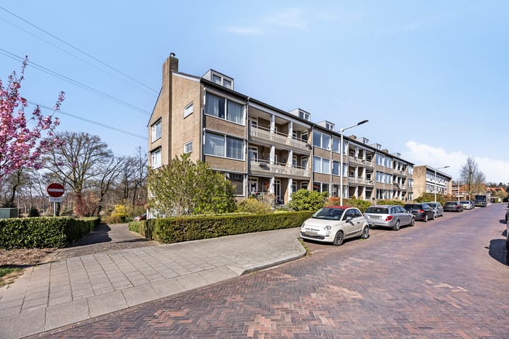 Foto 2 van Witsenstraat 14-3