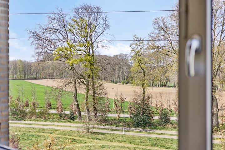 Foto 19 van Witsenstraat 14-3