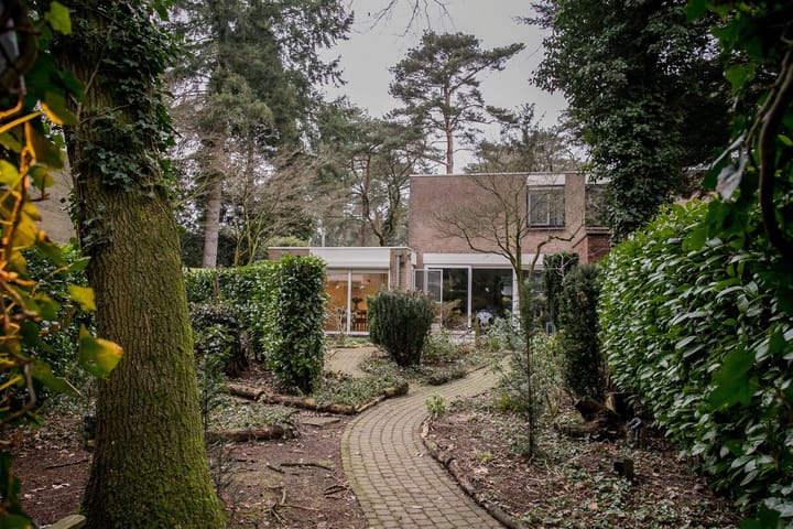 Foto 4 van Dennenoord 5