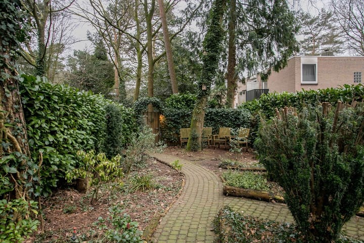 Foto 7 van Dennenoord 5