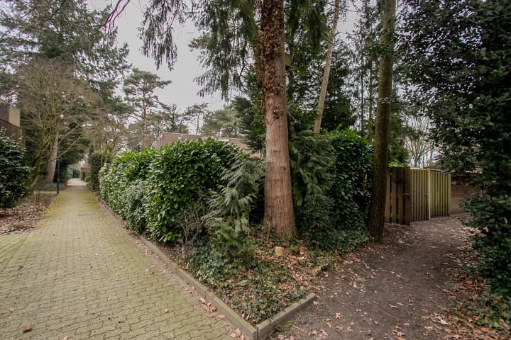 Foto 12 van Dennenoord 5