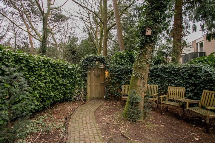 Foto 8 van Dennenoord 5