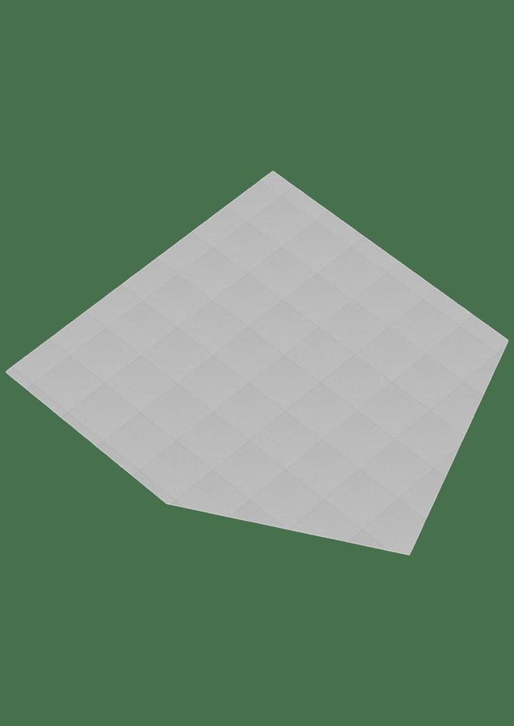 Foto 54 van Rembrandtstraat 59