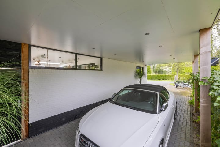 Foto 10 van Rietgans 2